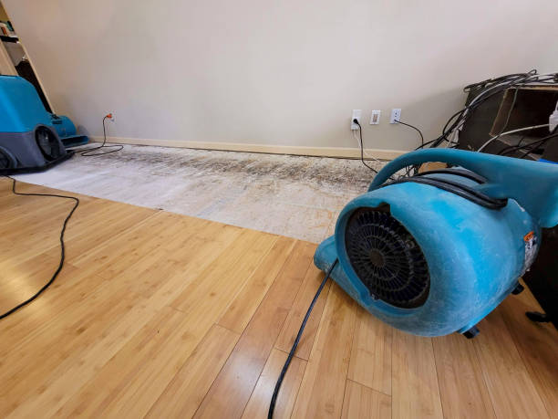 Professional Water Damage Repair technician working in Southport, CT